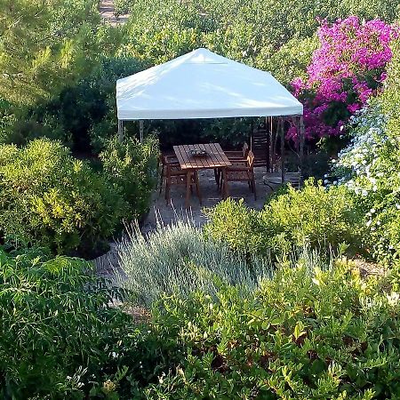 Aegina'S Oasis Villa Kültér fotó