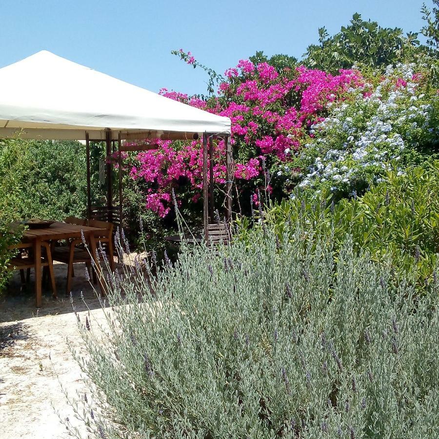 Aegina'S Oasis Villa Kültér fotó