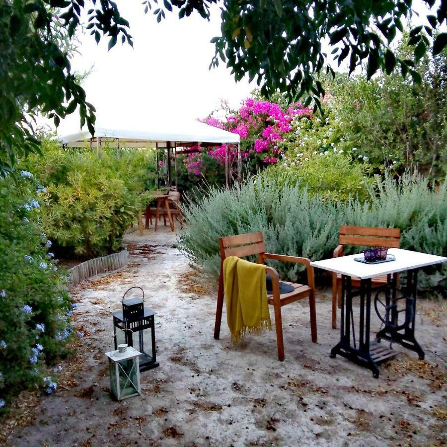 Aegina'S Oasis Villa Kültér fotó