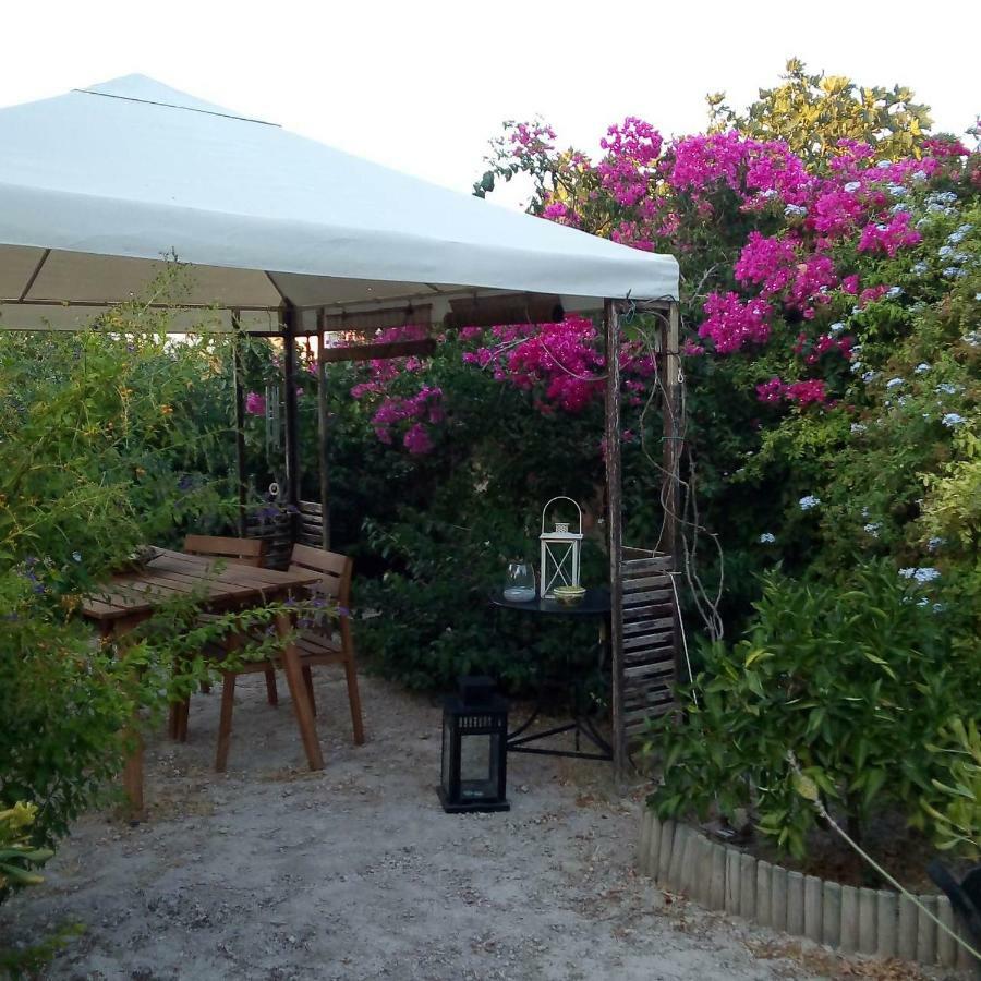 Aegina'S Oasis Villa Kültér fotó